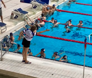 image – 2024-02-20T132717.728